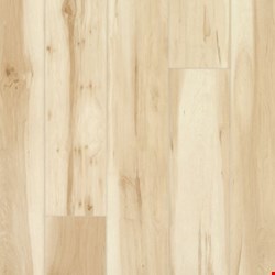 Mohawk Founder's Trace Collection: Original Sandstorm 7