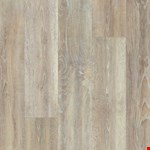 Fossil Gray FTS21-922