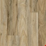 Amber Shade FTS21-849