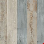 Metallic Shadows ECS21-924