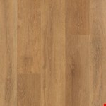 Stormy Sands ECS21-813