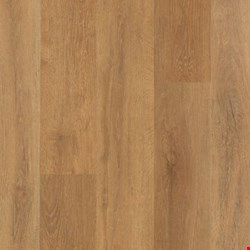 Mohawk Explorer's Cove Collection: Stormy Sands 7