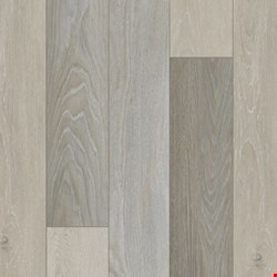 Mohawk Explorer's Cove Collection: Dazy Hazy 7