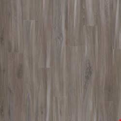 Mohawk Explorer's Cove Collection: Dolphin 7