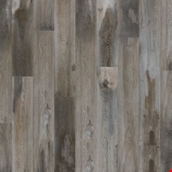 Mohawk Explorer's Cove Collection: Raccoon 7