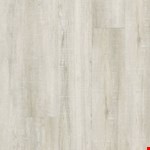 Lamb's Ear DRS21-190