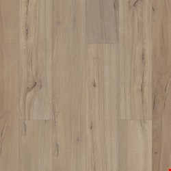 Shaw Floorte Paladin Plus: Driftwood Luxury Enhanced Vinyl Plank with Attached Pad 0278V 1056
