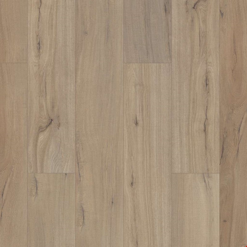 Shaw Floorte Paladin Plus: Driftwood Luxury Enhanced Vinyl Plank with Attached Pad 0278V 1056