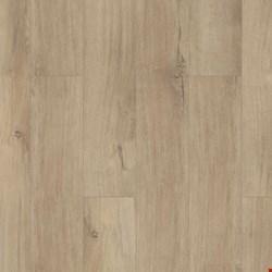 Shaw Floorte Paladin Plus: Marina Luxury Enhanced Vinyl Plank with Attached Pad 0278V 2014