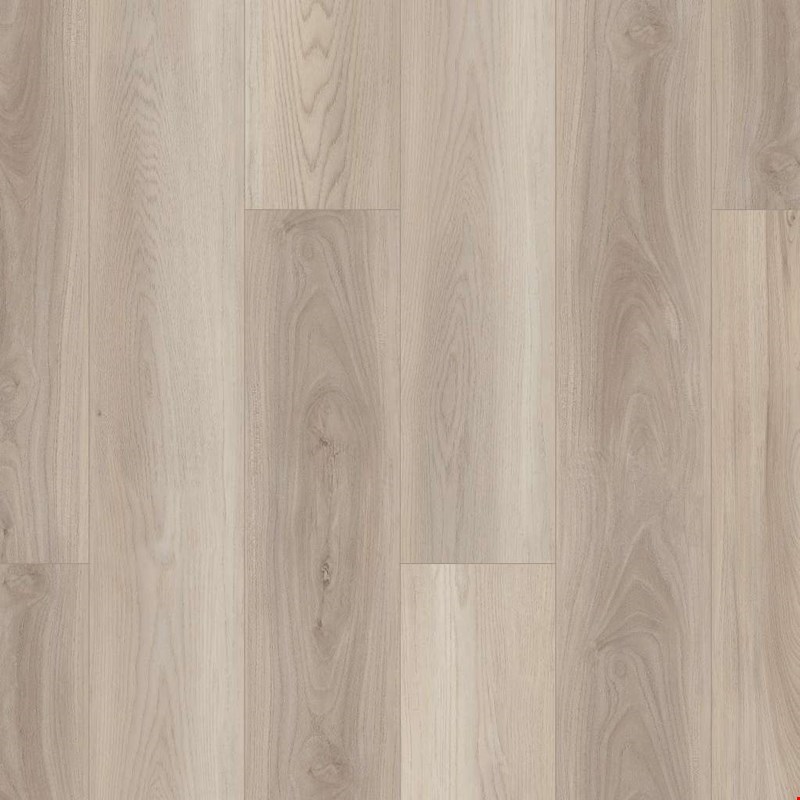 Shaw Floorte Paladin Plus: Lighthouse Luxury Enhanced Vinyl Plank with Attached Pad 0278V 5091