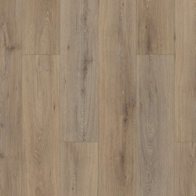 Shaw Floorte Paladin Plus: Wild Dunes Luxury Enhanced Vinyl Plank with Attached Pad 0278V 7089
