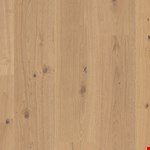 Thorndon Hall AA829-11057