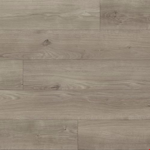 MetroFlor Provident Public: Civic Luxury Vinyl Plank PR7124LP-12M