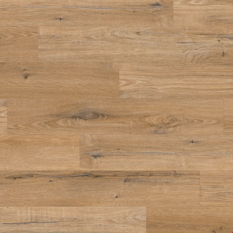 Karndean Knight Plank Glue Down: Natural Character Oak Luxury Vinyl Tile KP145