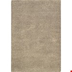 Oyster (99446150226)