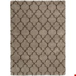 Latte (99446226242) 3'11" 5'11"