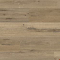 Karndean Opus Glue Down: Steen Oak Luxury Vinyl Plank WP426