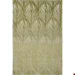 Green (99446046505) 8'0" 10'6"