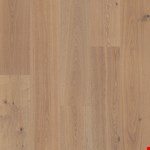 Somerton Castle AA829-11059