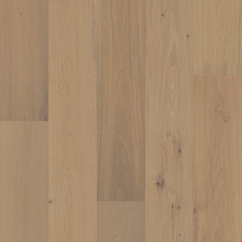 Anderson Tuftex Hardwood Chateau Oak: Courtyard 9/16" x 8" Engineered Hardwood AA847-11095