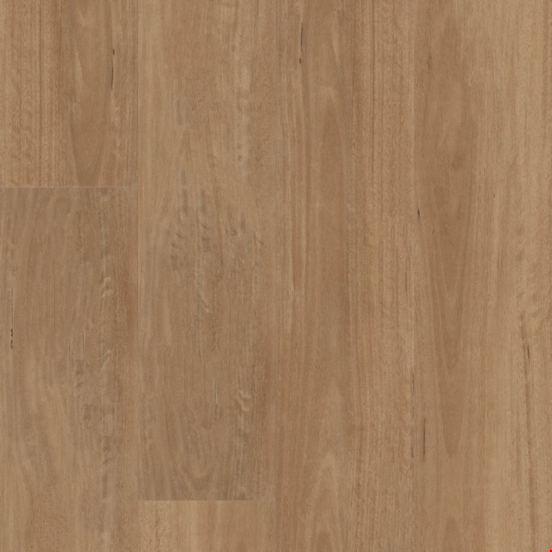 Shaw Aspire Natural Bevel: Golden Shores Luxury Enhanced Vinyl Plank 3381V 02110