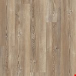 Murrell's Inlet 02137