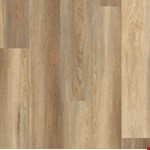 Corrigan Brook 06057