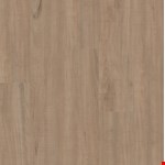 Chatter Oak 00295