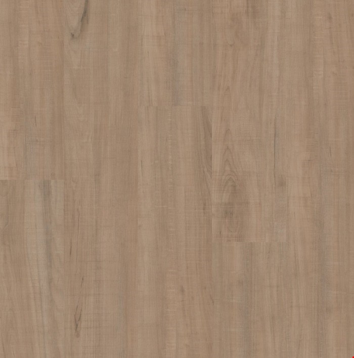 Shaw Floorte Anvil Plus 20 mil: Chatter Oak Luxury Vinyl Plank 2357V 00295