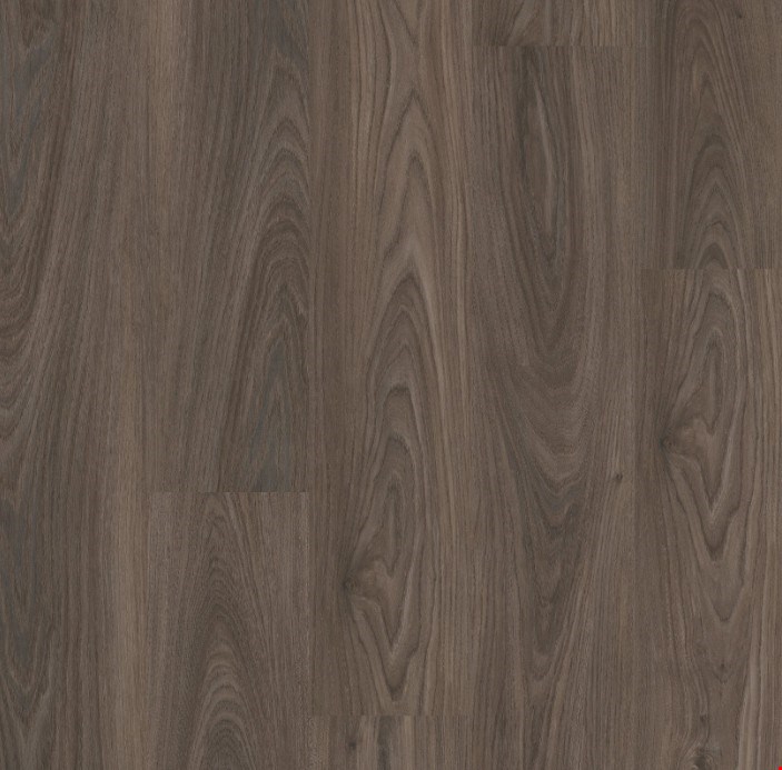 Shaw Floorte Anvil Plus 20 mil: Dark Elm Luxury Vinyl Plank 2357V 00915