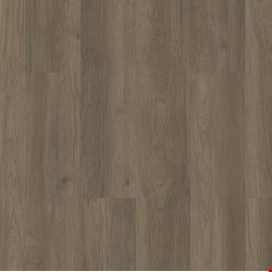 Shaw Floorte Pro Infinite SPC: Ranconteur Luxury Enhanced Vinyl Plank with Attached Pad 3100V 07195