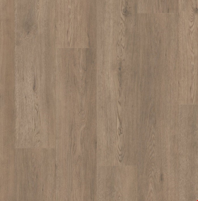 Shaw Paragon HD+Natural Bevel: Winthrop Luxury Vinyl Plank 3038V 05259