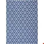 Navy (99446207517) 10'0" 13'0"