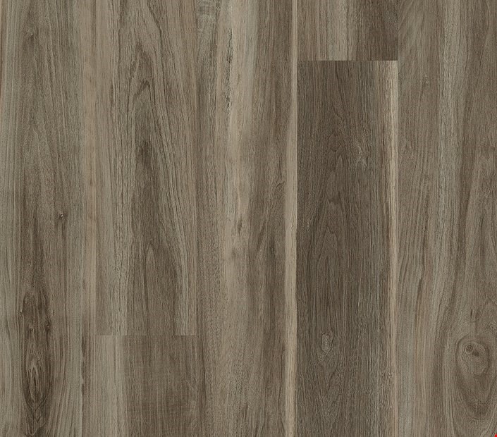 Shaw Philadelphia 5th and Main Symbiotic 12: Sparrow Luxury Vinyl Plank 5M302 00568