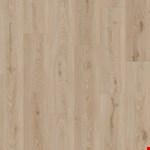 Soft Taupe CR504-04068