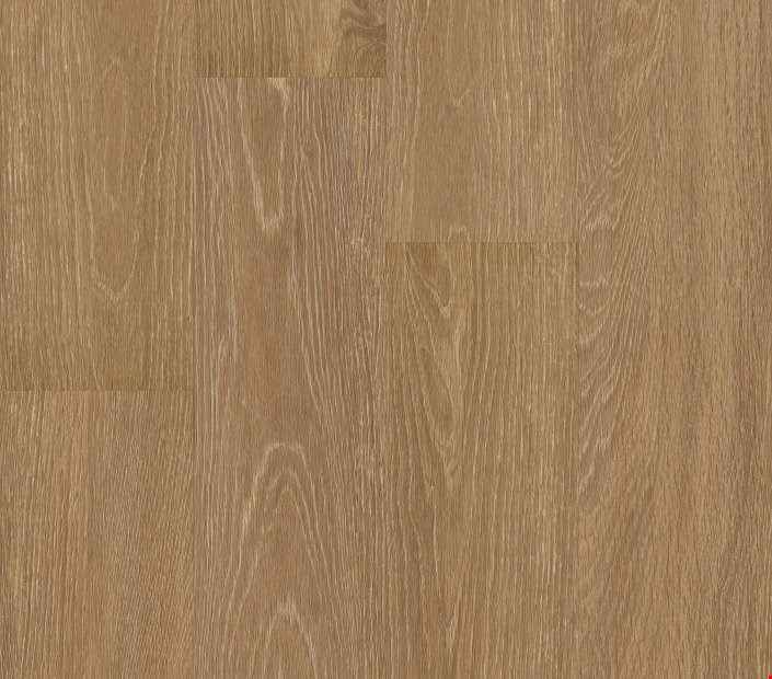 Shaw Philadelphia 5th & Main Symbiotic 20: Reed Luxury Vinyl Plank 5M303 00256