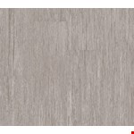 Philadelphia 5th & Main 20: Everest 5M303 00559