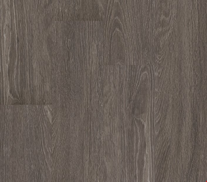 Shaw Philadelphia 5th & Main Symbiotic 20: Carbon Luxury Vinyl Plank 5M303 00564