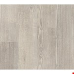 Philadelphia 5th & Main 20: Shoreline 5M303 05013