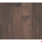 Philadelphia 5th & Main 20: Thicket 5M303 05019