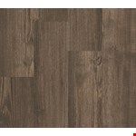 Philadelphia 5th & Main 20: Sweetgum 5M303 07008