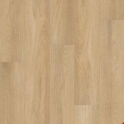 Shaw Floorte Distinction Plus: Golden Timber Luxury Vinyl Plank 2045V 02101