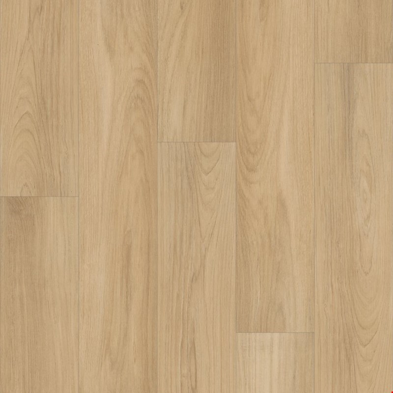 Shaw Floorte Distinction Plus: Golden Timber Luxury Vinyl Plank 2045V 02101