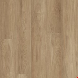 Shaw Floorte Distinction Plus: Hazelnut Brown Luxury Vinyl Plank 2045V 07320
