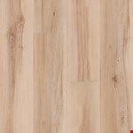Almond Maple 02157