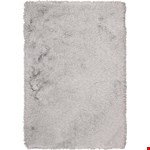 Silver (99446205278) 4'0" 6'0"