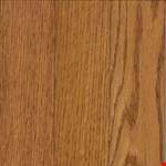 Strip: Auburn BV631AU