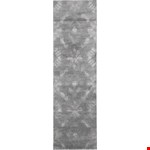 (99446061331) Runner 2'3" 8'0"