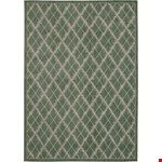 Light Green (99446261984) Rectangle 3'9" 5'9"