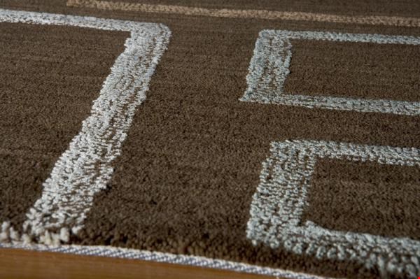 Momeni Sensations (SENSASEN-1BRN3656) Rectangle 0'6" x 3'6" Area Rug